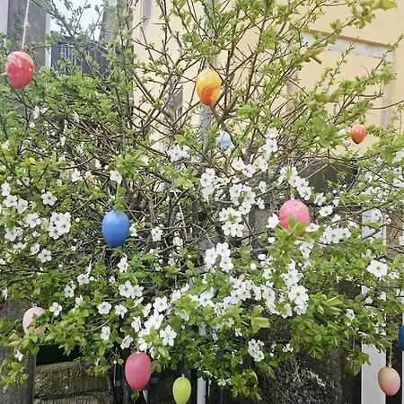 公寓 Premium Penthouse W46 - Elbnah, Hochwertig Mit Parkplatz!