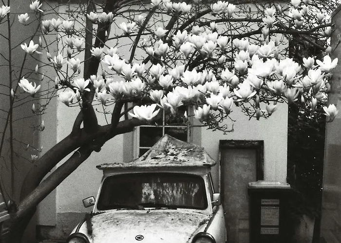 Premium Penthouse W46 - Elbnah, Hochwertig Mit Parkplatz! Drezda