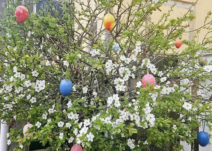 Apartament Premium Penthouse W46 - Elbnah, Hochwertig Mit Parkplatz!